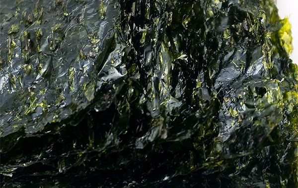 ��̦��Ӫ����ֵ �Ժ�̦Ҫע��Щʲô